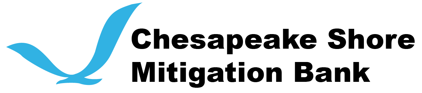 Chesapeake shore mitigation